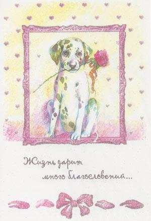 Жизнь дарит много благословений...