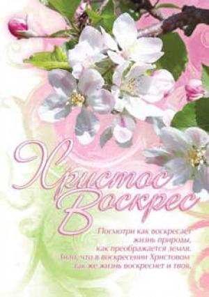 Христос воскрес! Посмотри как воскресает жизнь...