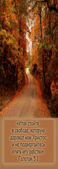 «Итак стойте в свободе, которую даровал нам Христос, и не подвергайтесь опять игу рабства» Галатам 5:1