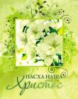 Пасха наша - Христос 